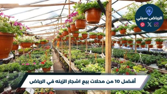 محلات بيع اشجار الزينه في الرياض: خضرة تناسب بيتك ومناخه
